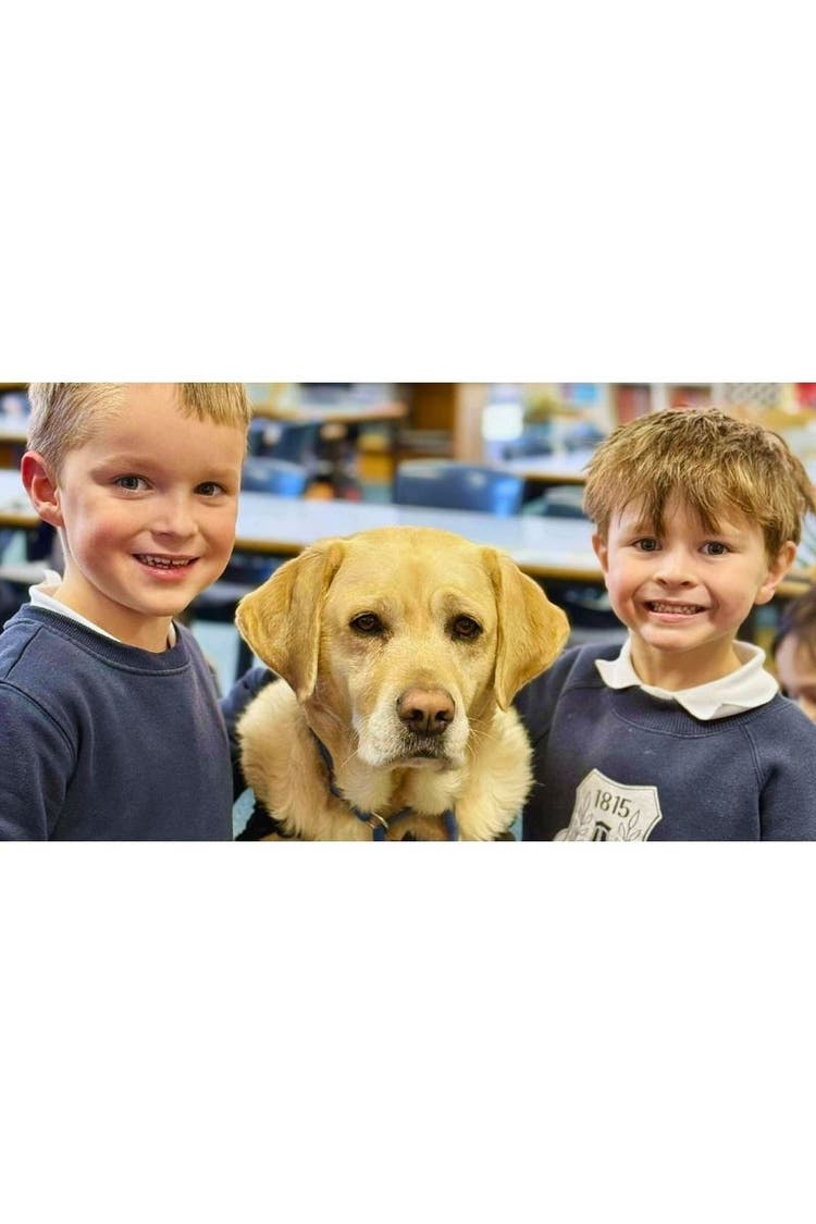 Copy of DA - Card Container - Horizontal - Card Container (H) Template - with subject guide (3)